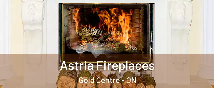  Astria Fireplaces Gold Centre - ON
