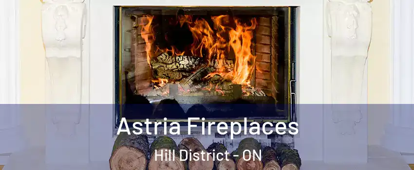  Astria Fireplaces Hill District - ON