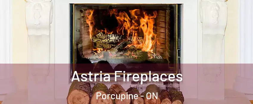  Astria Fireplaces Porcupine - ON