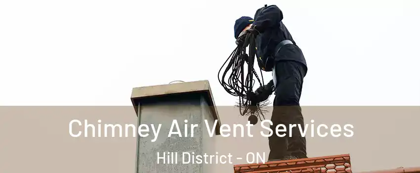  Chimney Air Vent Services Hill District - ON
