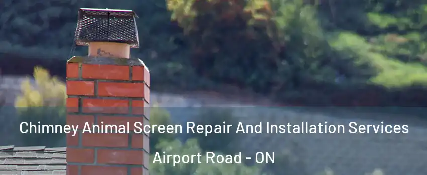  Chimney Animal Screen Repair And Installation Services Airport Road - ON