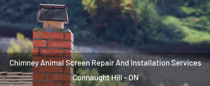  Chimney Animal Screen Repair And Installation Services Connaught Hill - ON