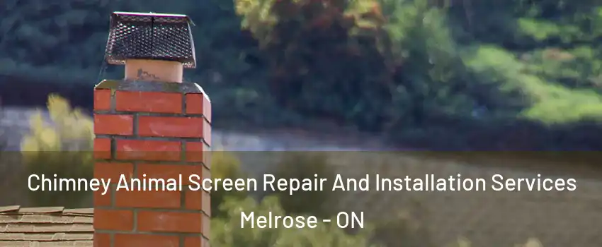 Chimney Animal Screen Repair And Installation Services Melrose - ON