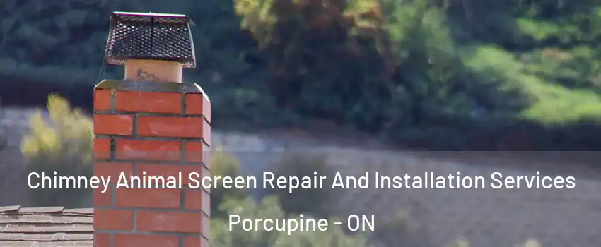  Chimney Animal Screen Repair And Installation Services Porcupine - ON