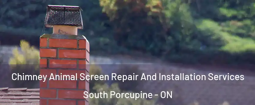  Chimney Animal Screen Repair And Installation Services South Porcupine - ON
