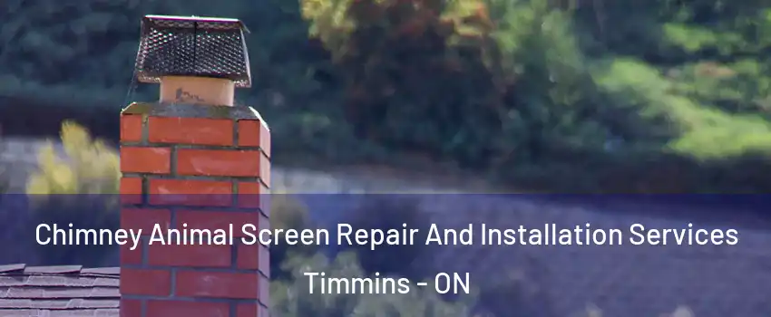  Chimney Animal Screen Repair And Installation Services Timmins - ON
