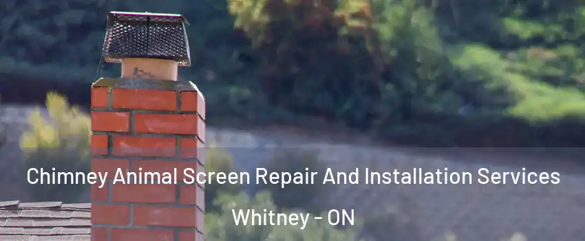  Chimney Animal Screen Repair And Installation Services Whitney - ON
