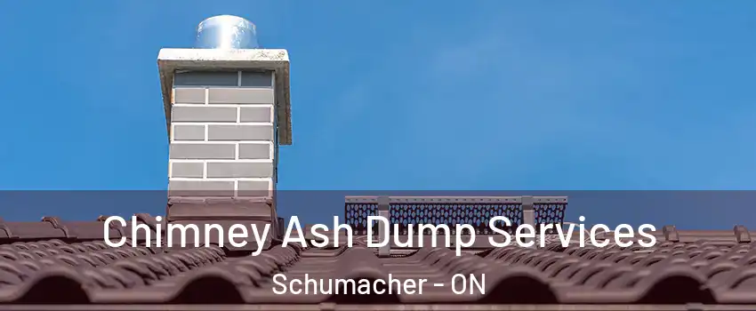  Chimney Ash Dump Services Schumacher - ON