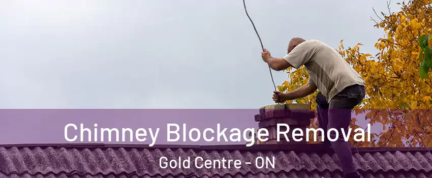  Chimney Blockage Removal Gold Centre - ON
