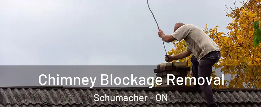 Chimney Blockage Removal Schumacher - ON