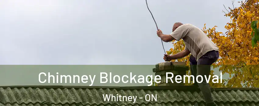  Chimney Blockage Removal Whitney - ON