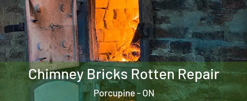 Chimney Bricks Rotten Repair Porcupine - ON