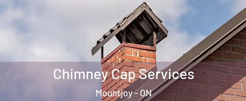  Chimney Cap Services Mountjoy - ON