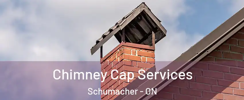 Chimney Cap Services Schumacher - ON