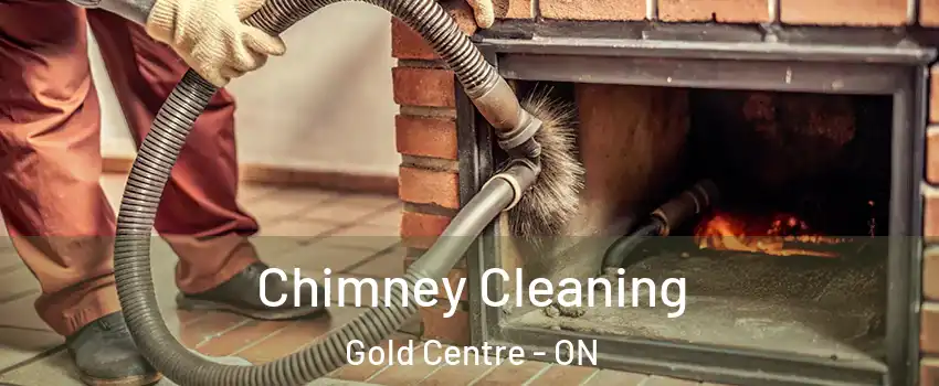  Chimney Cleaning Gold Centre - ON