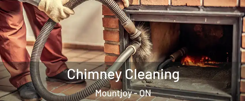  Chimney Cleaning Mountjoy - ON