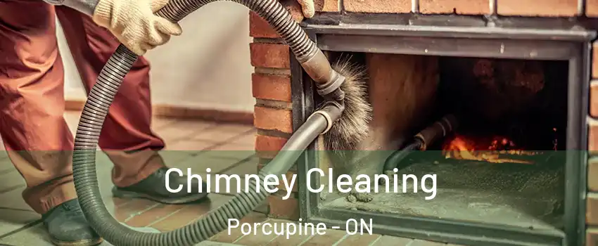  Chimney Cleaning Porcupine - ON