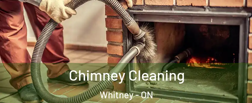  Chimney Cleaning Whitney - ON