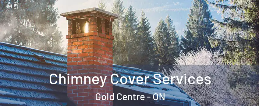  Chimney Cover Services Gold Centre - ON