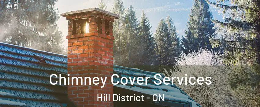  Chimney Cover Services Hill District - ON