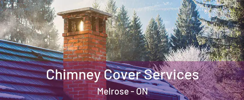  Chimney Cover Services Melrose - ON