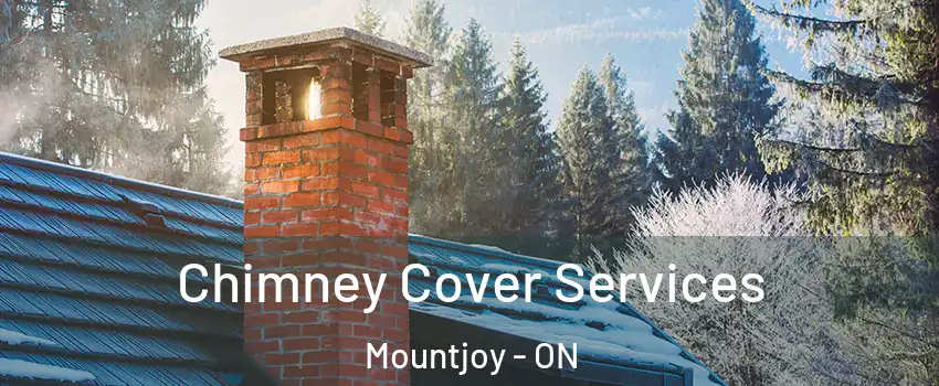  Chimney Cover Services Mountjoy - ON