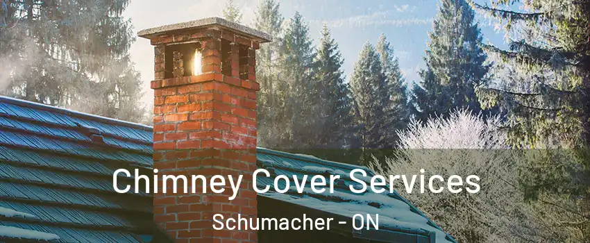  Chimney Cover Services Schumacher - ON