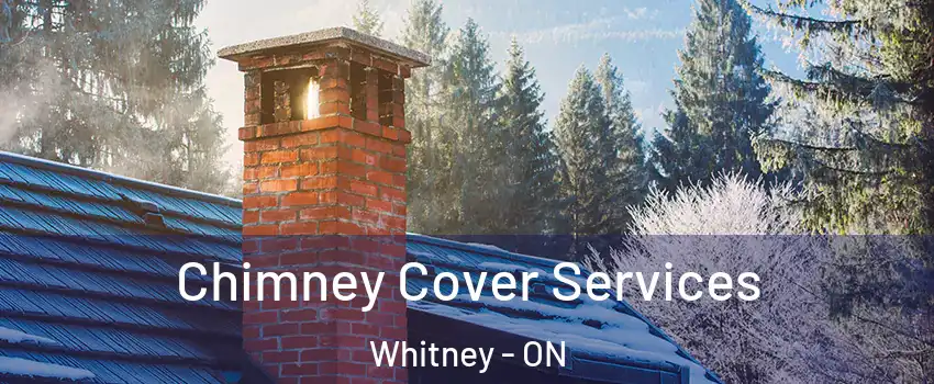  Chimney Cover Services Whitney - ON