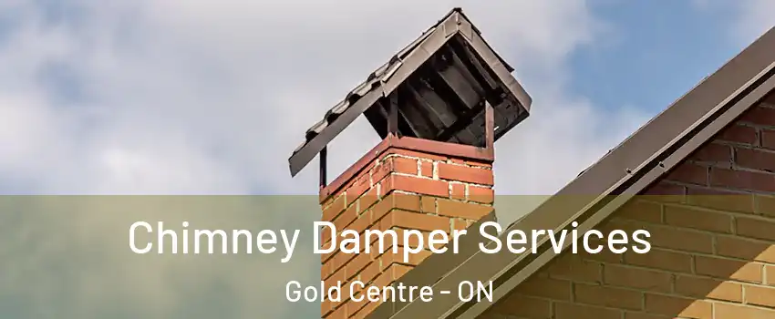  Chimney Damper Services Gold Centre - ON