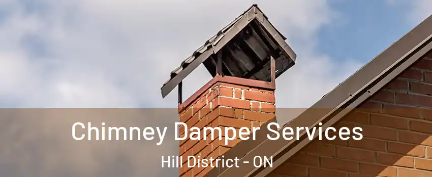 Chimney Damper Services Hill District - ON