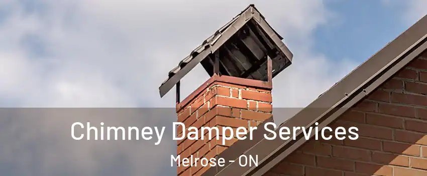  Chimney Damper Services Melrose - ON