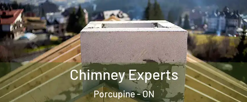  Chimney Experts Porcupine - ON