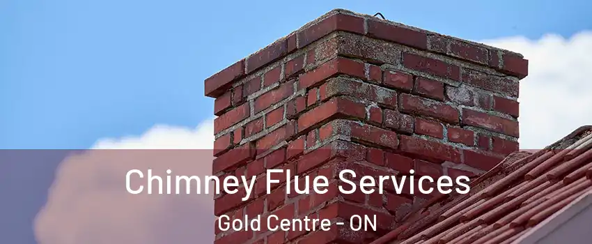  Chimney Flue Services Gold Centre - ON