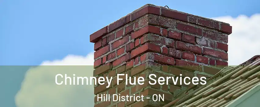  Chimney Flue Services Hill District - ON