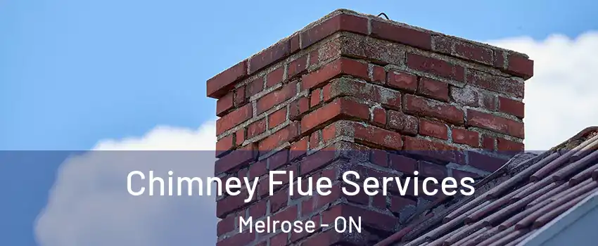  Chimney Flue Services Melrose - ON
