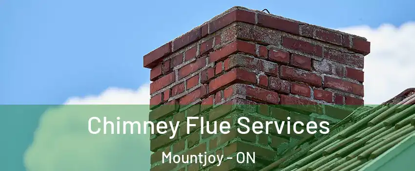  Chimney Flue Services Mountjoy - ON
