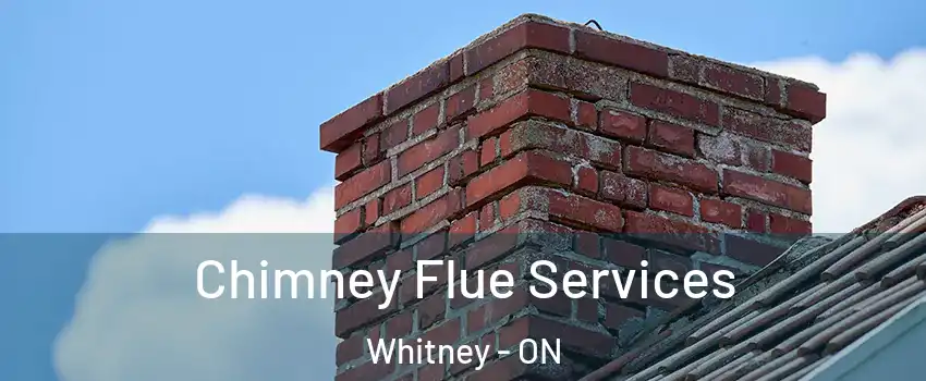  Chimney Flue Services Whitney - ON