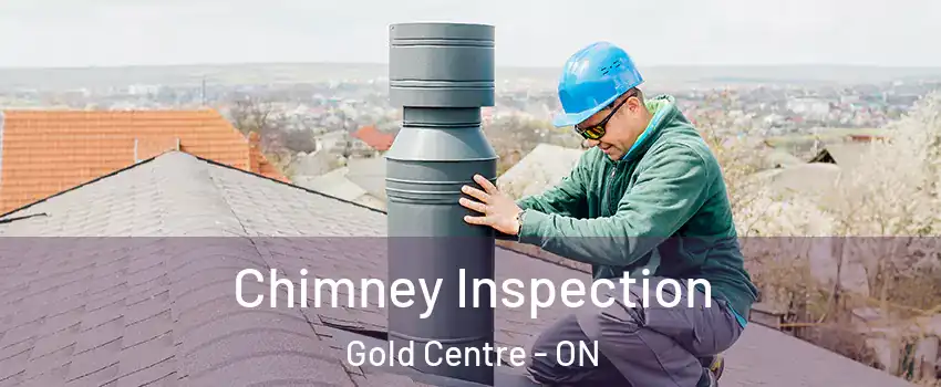  Chimney Inspection Gold Centre - ON