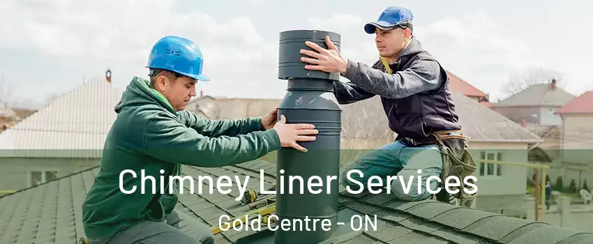  Chimney Liner Services Gold Centre - ON