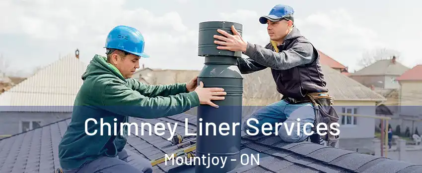  Chimney Liner Services Mountjoy - ON