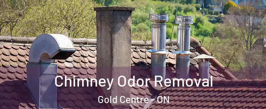  Chimney Odor Removal Gold Centre - ON