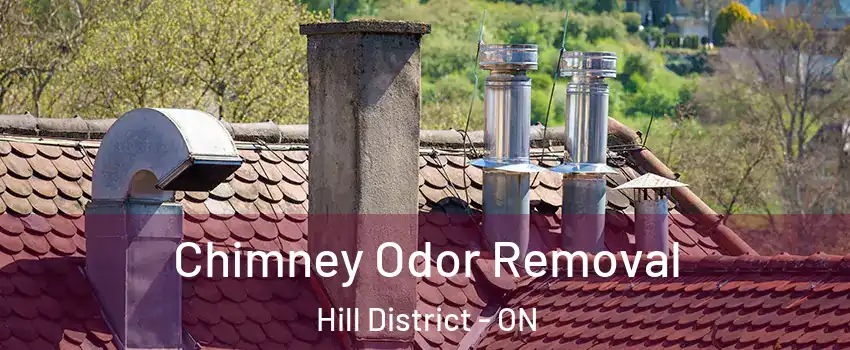  Chimney Odor Removal Hill District - ON