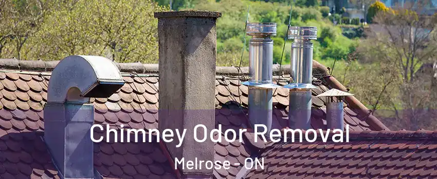  Chimney Odor Removal Melrose - ON