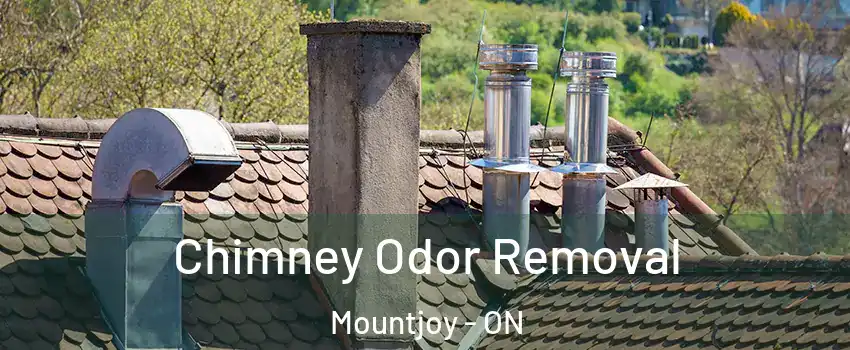  Chimney Odor Removal Mountjoy - ON