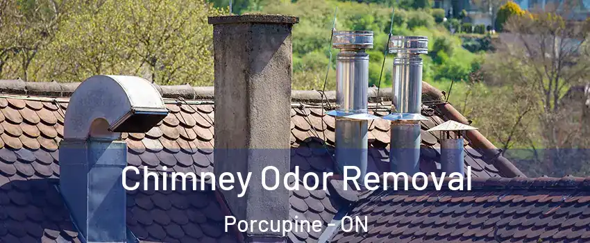  Chimney Odor Removal Porcupine - ON