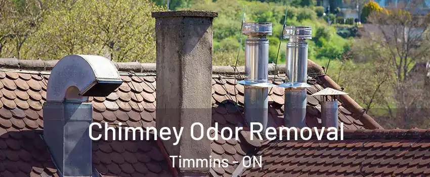  Chimney Odor Removal Timmins - ON