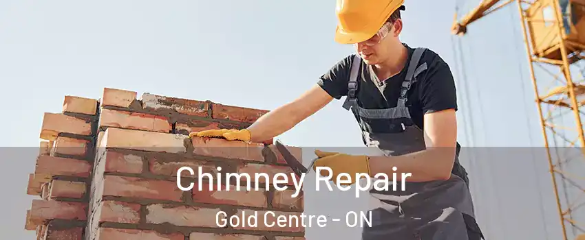  Chimney Repair Gold Centre - ON