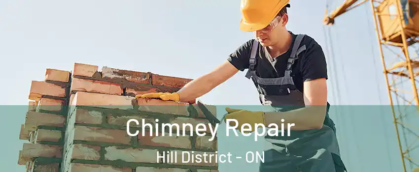  Chimney Repair Hill District - ON