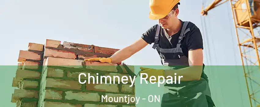  Chimney Repair Mountjoy - ON