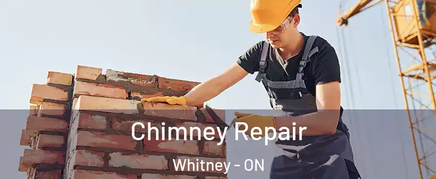  Chimney Repair Whitney - ON